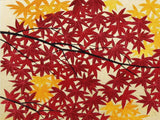 Namiki Hajime 並木一 - momiji-5 (ED300) -  Free Shipping