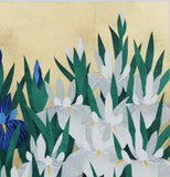 Namiki Hajime 並木一 - iris79  　(ED200) -  Free Shipping