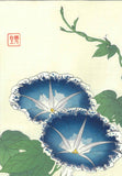 Kawarazaki Shodo - F60 Asagao (Morning glory) - Free Shipping