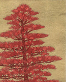 Namiki Hajime 並木一 -  Tree Scene 164A　(ED300) -  Free Shipping