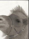 Kotozuka Kichitaro  琴塚吉太朗 - Two-breasted camel  フタコブラクダ  - High-Fidelity Fine Art Reproduction  - Free Shipping　