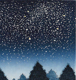 Namiki Hajime 並木一 -   Night Scene 4　(ED300) -  Free Shipping