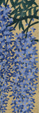Namiki Hajime 並木一 -  Wisteria-1　(ED300) -  Free Shipping