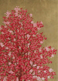 Namiki Hajime 並木一 -  Magnolia 3　(ED200) -  Free Shipping