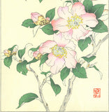 Osuga Yuichi - Sazanka 山茶花 (Camellia) - Free Shipping