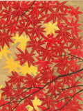 Namiki Hajime 並木一 -  momiji-4　(ED300) -  Free Shipping