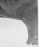Kotozuka Kichitaro  琴塚吉太朗 - Asian elephant　アジアゾウ-Limited to 100 pieces - High-Fidelity Fine Art Reproduction  - Free Shipping　