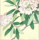Osuga Yuichi - Shakunage  (Rhododendron) - Free Shipping