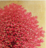 Namiki Hajime 並木一 -  Dogwood10　(ED200) -  Free Shipping