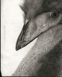 Kotozuka Kichitaro  琴塚吉太朗 - Emu  エミュー - High-Fidelity Fine Art Reproduction  - Free Shipping　