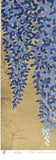 Namiki Hajime 並木一 -  Wisteria-1　(ED300) -  Free Shipping