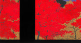Kato Teruhide - #042 Nanzen ji Koyo (Nanzenji Autumn leaves) - Free Shipping