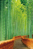 Kato Teruhide - #023 Sagano-Ji - Free Shipping