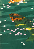 Kasamatsu Shiro - SK40 Koi (Carp) - Free Shipping