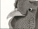 Kotozuka Kichitaro  琴塚吉太朗 - Japanese Green Pheasant  ニホンキジ - High-Fidelity Fine Art Reproduction  - Free Shipping　