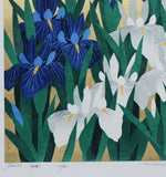 Namiki Hajime 並木一 - iris79  　(ED200) -  Free Shipping