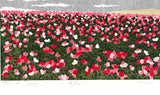 Namiki Hajime 並木一 -   Hill－２ Poppy 　(ED200) -  Free Shipping