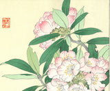 Osuga Yuichi - Shakunage  (Rhododendron) - Free Shipping