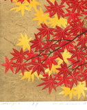 Namiki Hajime 並木一 -  momiji-4　(ED300) -  Free Shipping