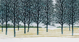 Namiki Hajime 並木一 -  Tree Scene 158　(ED200) -  Free Shipping