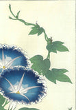 Kawarazaki Shodo - F60 Asagao (Morning glory) - Free Shipping