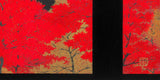 Kato Teruhide - #042 Nanzen ji Koyo (Nanzenji Autumn leaves) - Free Shipping