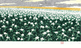Namiki Hajime 並木一 -  Hill－３Potato 　(ED200) -  Free Shipping