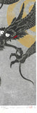 Namiki Hajime 並木一 -  DRAGON 5　(ED1000) -  Free Shipping