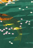 Kasamatsu Shiro - SK40 Koi (Carp) - Free Shipping