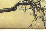 Yoshida Toshi - #015106 Jyuzu kake no Ume (Plum tree ＆ Blue Magpie)   吉田遠志 木版画  015106 数珠かけの梅 Plum tree ＆ Blue Magpie  - Free Shipping