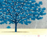 Namiki Hajime 並木一 -   BLUE TREE　(ED500) -  Free Shipping