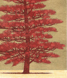 Namiki Hajime 並木一 -  Tree Scene 164A　(ED300) -  Free Shipping