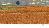 Namiki Hajime 並木一 -   Hill－1 wheat　(ED200) -  Free Shipping