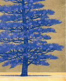 Namiki Hajime 並木一 -  Tree Scene 164B　(ED300) -  Free Shipping