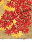 Namiki Hajime 並木一 -  momiji-4　(ED300) -  Free Shipping
