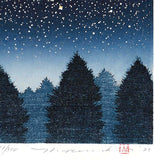 Namiki Hajime 並木一 -   Night Scene 4　(ED300) -  Free Shipping