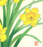 Osuga Yuichi - Rappa Suisen (Daffodil) - Free Shipping
