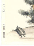 Maruyama Okyo - Wakamatsu ni Kamezu (Turtle and Young Pine Trees) 若松に亀図 - Free Shipping