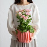 Rikyu Ume (Plum) -Double-Sided Dyeing Furoshiki - Pink / Cream - 45 x 45 cm