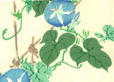 Kono Bairei  - Asagao to Shijyukara  - Free Shipping
