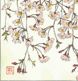 Kuzuhara Teru - F143 Sakura Sakura 　しだれ桜　 (Weeping cherry tree) -  Free Shipping