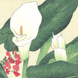 Tanigami Konan (1879~1928) -  Color lily - Free Shipping　　