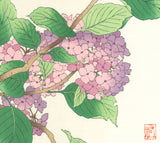 Osuga Yuichi - F178 Ajisai  (Hydrangea) - Free Shipping    Only 1 left!!