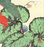 Tanigami Konan (1879~1928) -  Begonia - Free Shipping　　