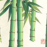 Osuga Yuichi - F182 Take  (Bamboo) - Free Shipping