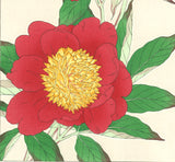 Kawarazaki Shodo - F12 Shakuyaku ( Peony) - Free Shipping