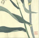 Kuzuhara Teru - F158  Ashi　あし (Reed) -  Free Shipping