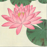 Kawarazaki Shodo - F57 Suiren (Water Lily) - Free Shipping