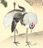 Maruyama Okyo - Tsuru Zu (Twin crane & Green Pine tree)  - Free Shipping