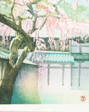 Mibugawa Junichi - Haru no iro  (Spring color)  (春の色)  - Free Shipping